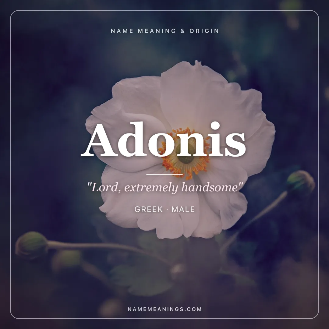 Adonis name meaning "Lord, extremely handsome" - Greek, Phoenician male name share card | NameMeanings