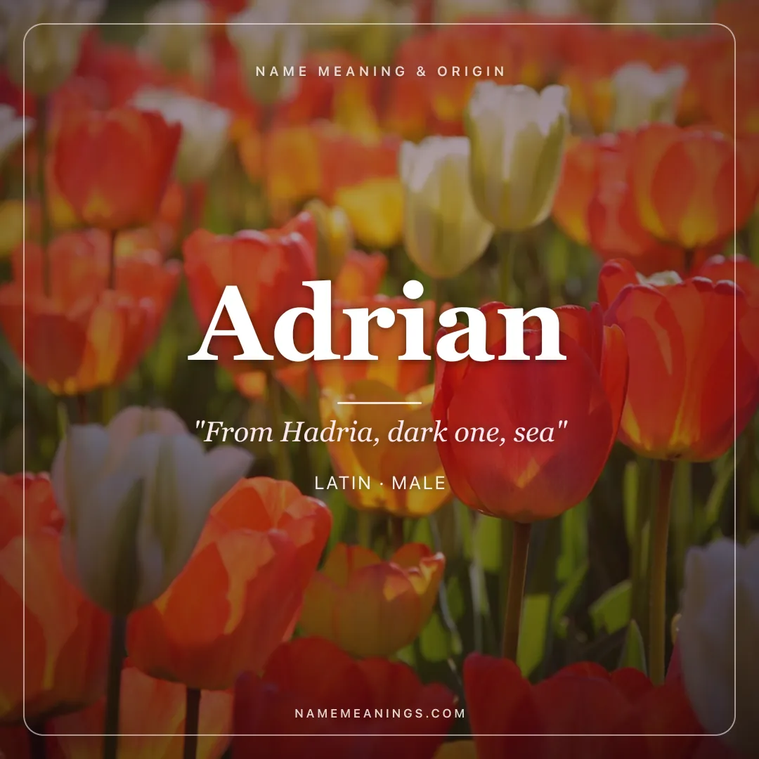 Adrian name meaning "From Hadria, dark one, sea" - Latin male name share card | NameMeanings