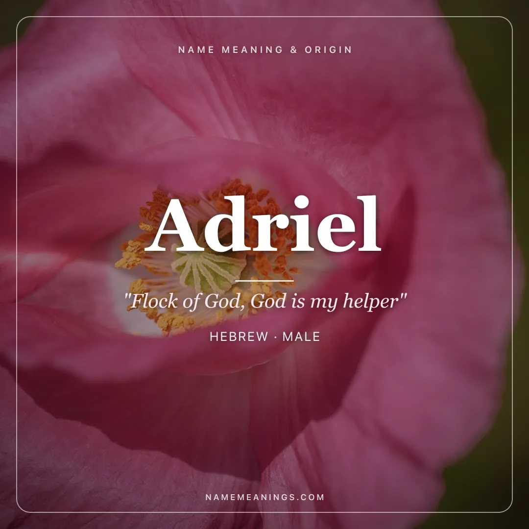 Adriel name meaning "Flock of God, God is my helper" - Hebrew male name share card | NameMeanings