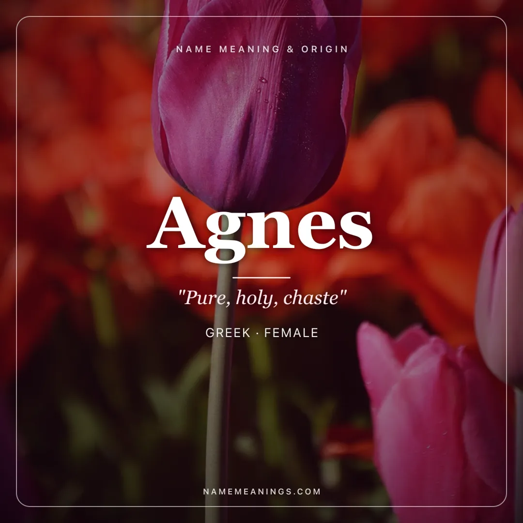 Agnes name meaning "Pure, holy, chaste" - Greek, Latin female name share card | NameMeanings