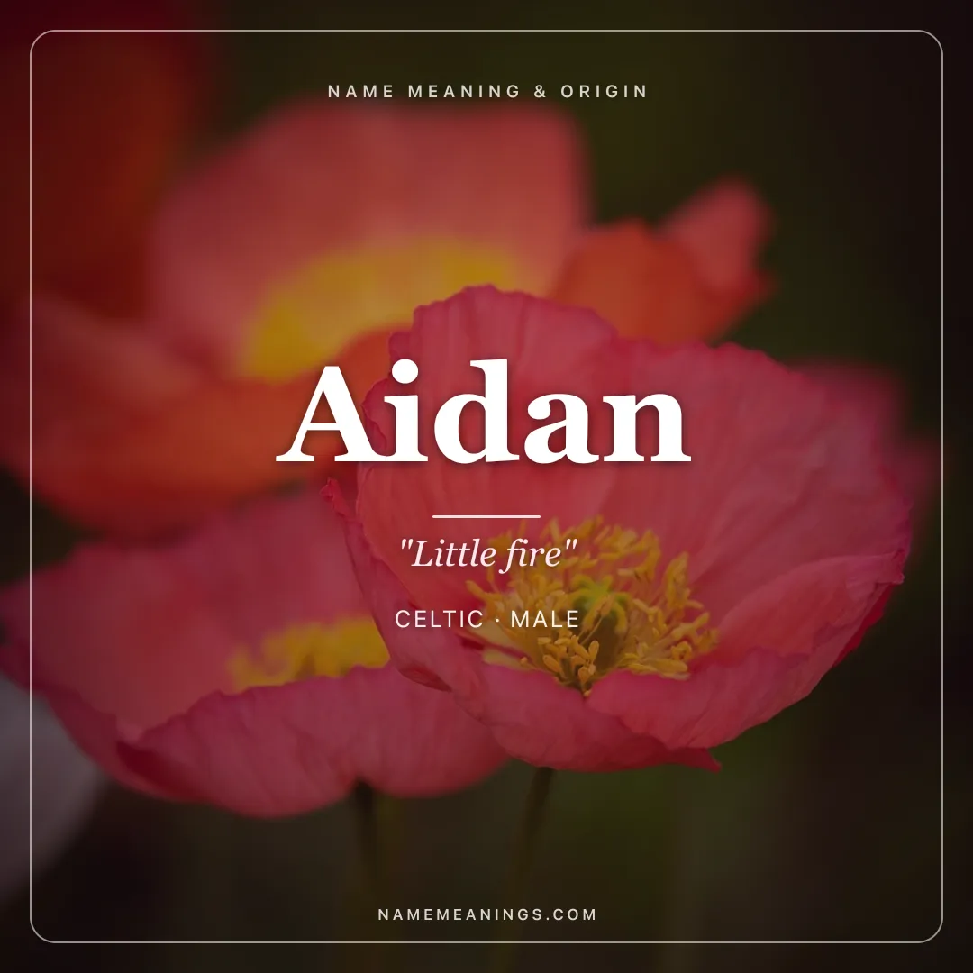 Aidan name meaning "Little fire" - Celtic male name share card | NameMeanings