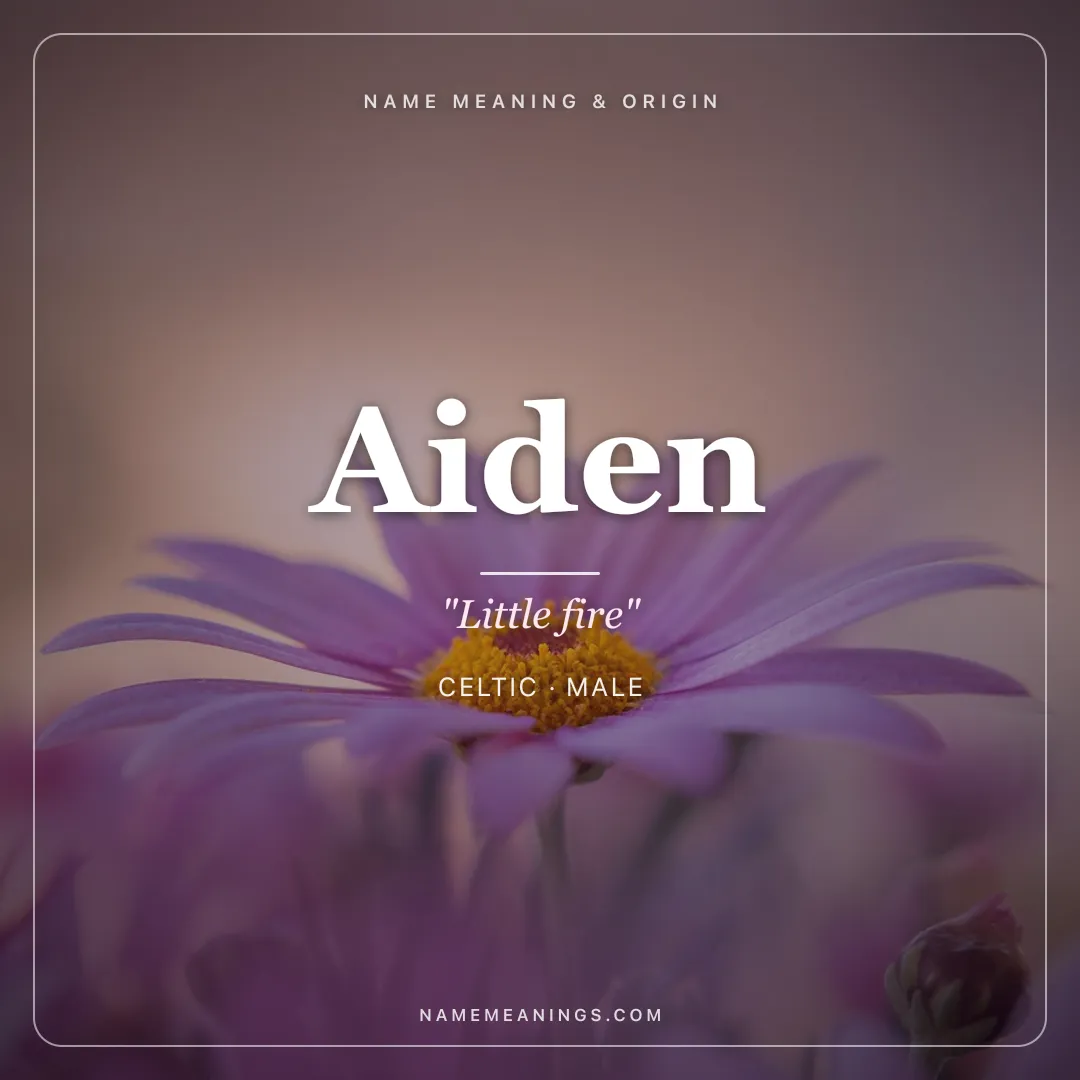 Aiden name meaning "Little fire" - Celtic male name share card | NameMeanings