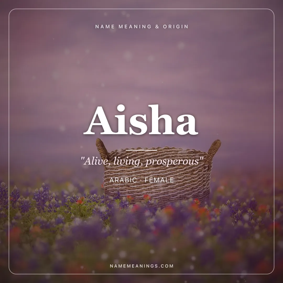 Aisha name meaning "Alive, living, prosperous" - Arabic female name share card | NameMeanings