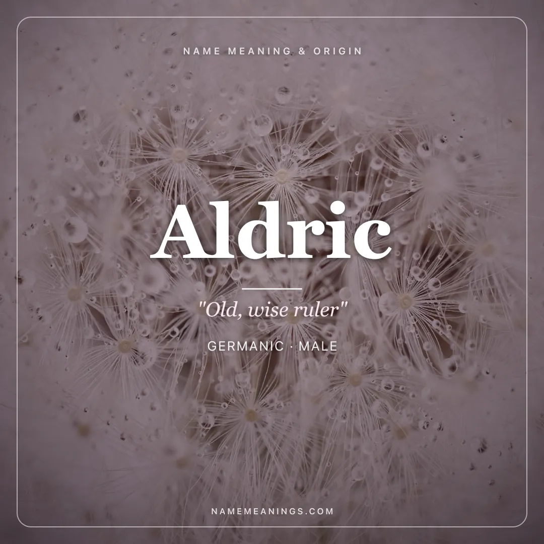 Aldric name meaning "Old, wise ruler" - Germanic male name share card | NameMeanings