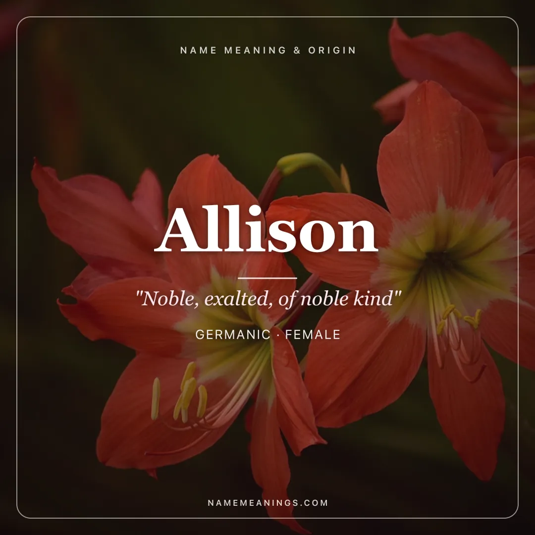 Allison name meaning "Noble, exalted, of noble kind" - Germanic, French female name share card | NameMeanings