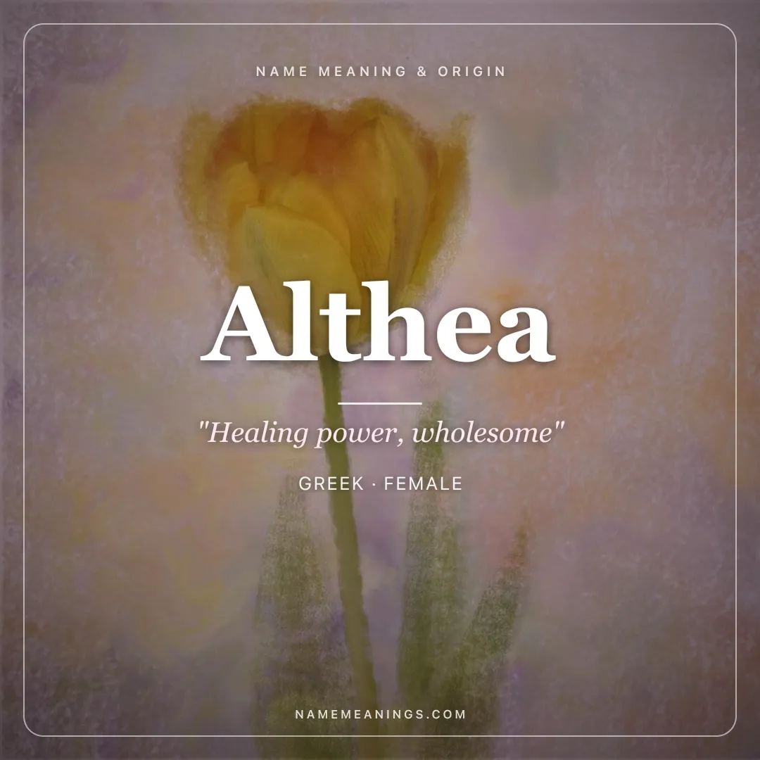 Althea name meaning "Healing power, wholesome" - Greek female name share card | NameMeanings