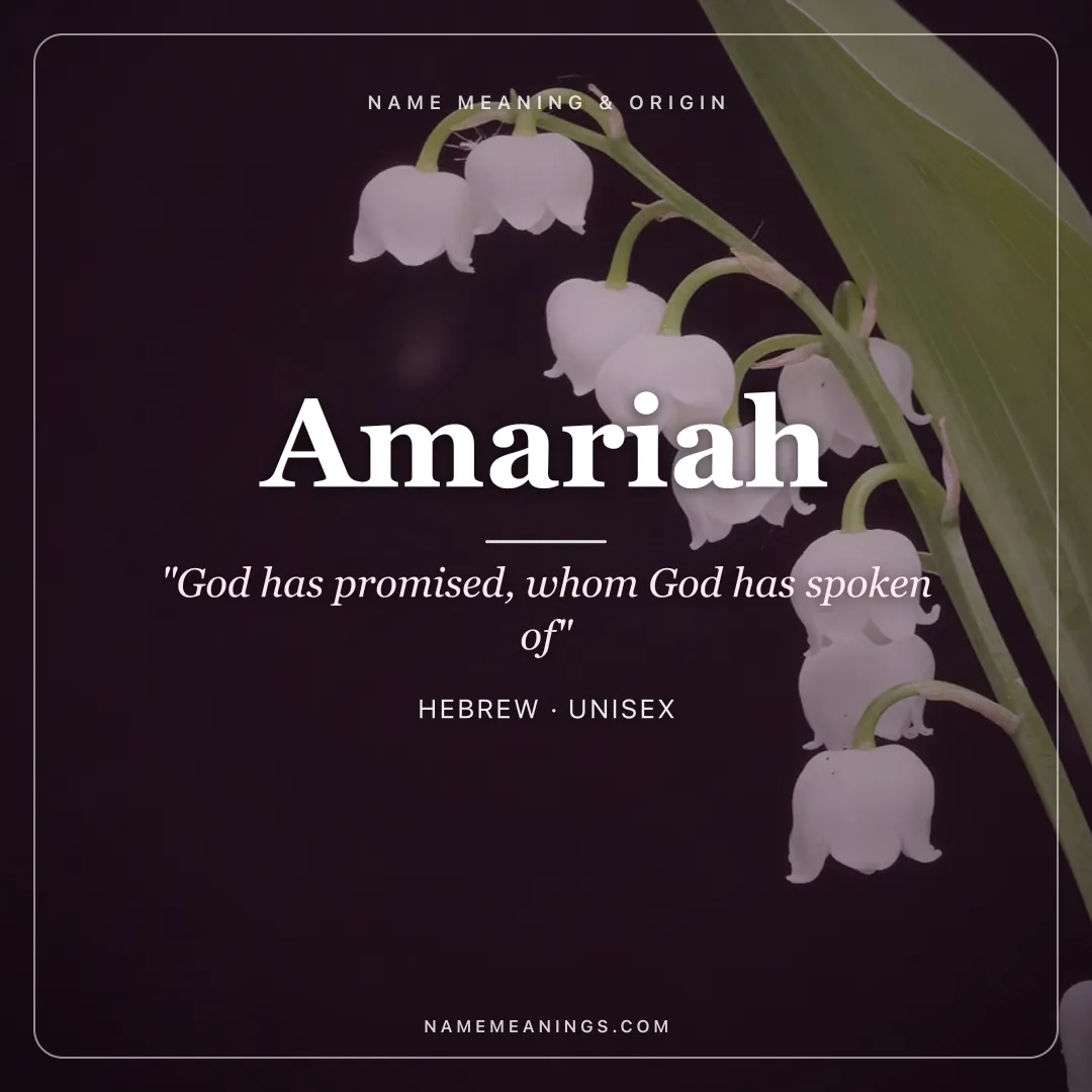 Amariah name meaning "God has promised, whom God has spoken of" - Hebrew unisex name share card | NameMeanings