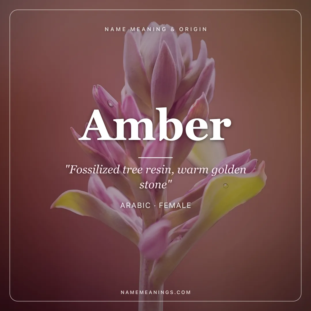 Amber name meaning "Fossilized tree resin, warm golden stone" - Arabic female name share card | NameMeanings