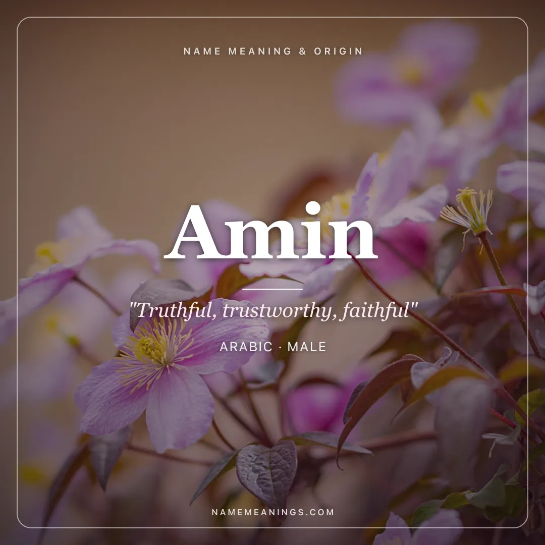Amin name meaning "Truthful, trustworthy, faithful" - Arabic male name share card | NameMeanings