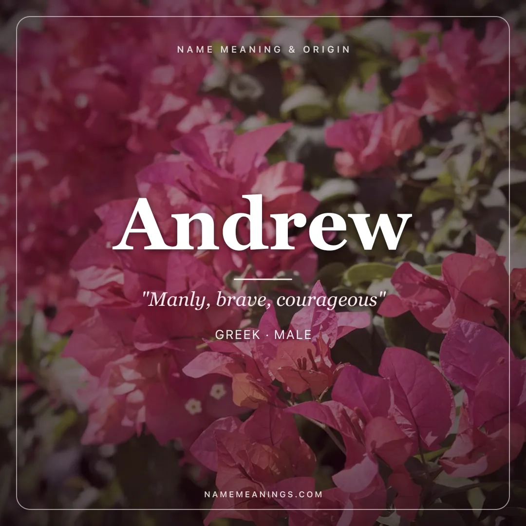 Andrew name meaning "Manly, brave, courageous" - Greek male name share card | NameMeanings
