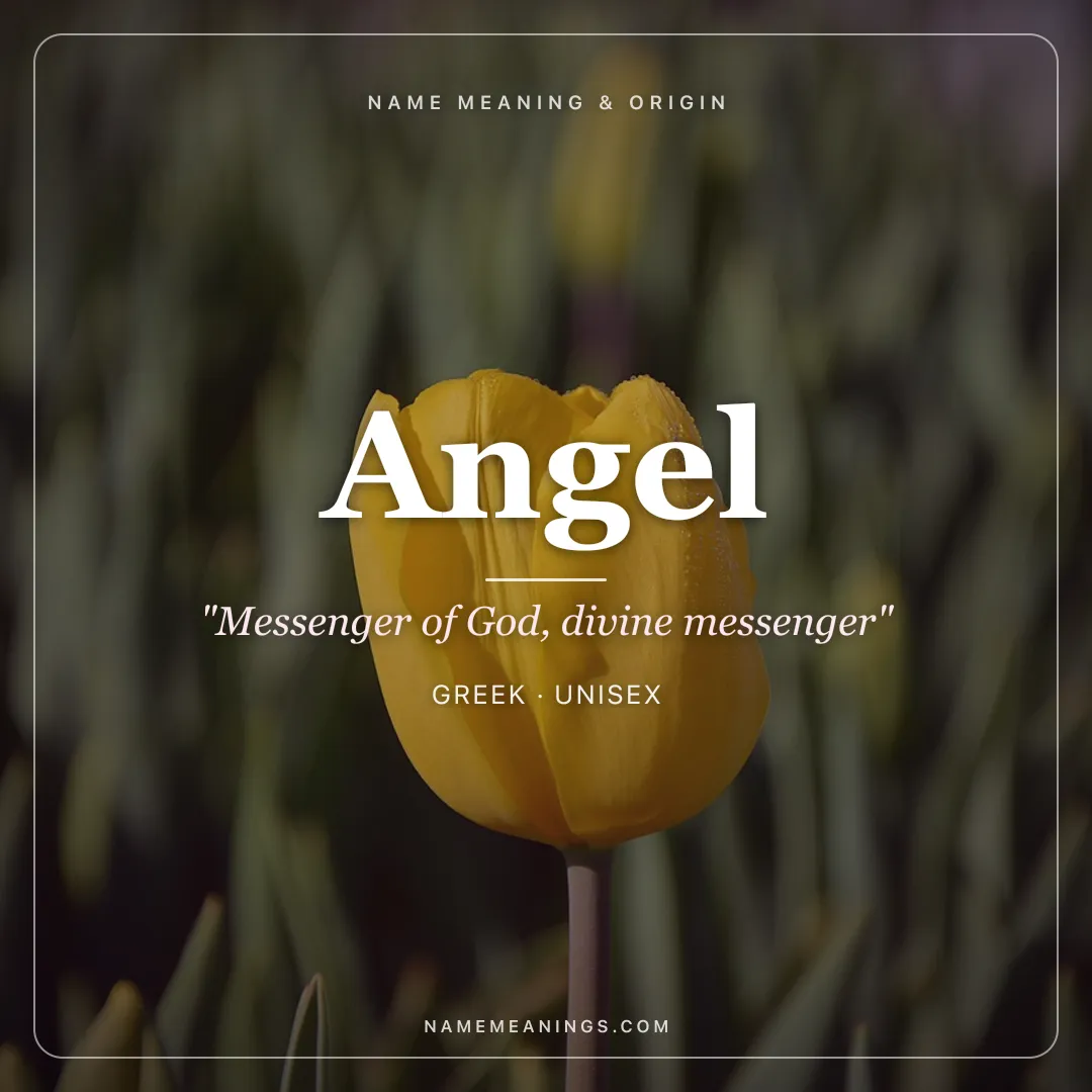 Angel name meaning "Messenger of God, divine messenger" - Greek, Latin unisex name share card | NameMeanings