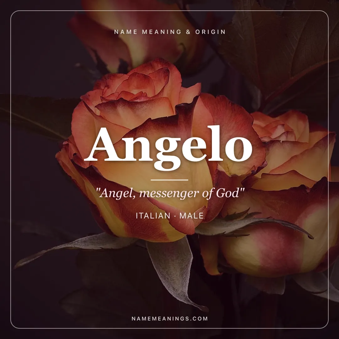 Angelo name meaning "Angel, messenger of God" - Italian male name share card | NameMeanings