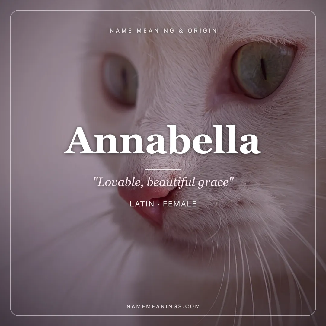 Annabella name meaning "Lovable, beautiful grace" - Latin female name share card | NameMeanings