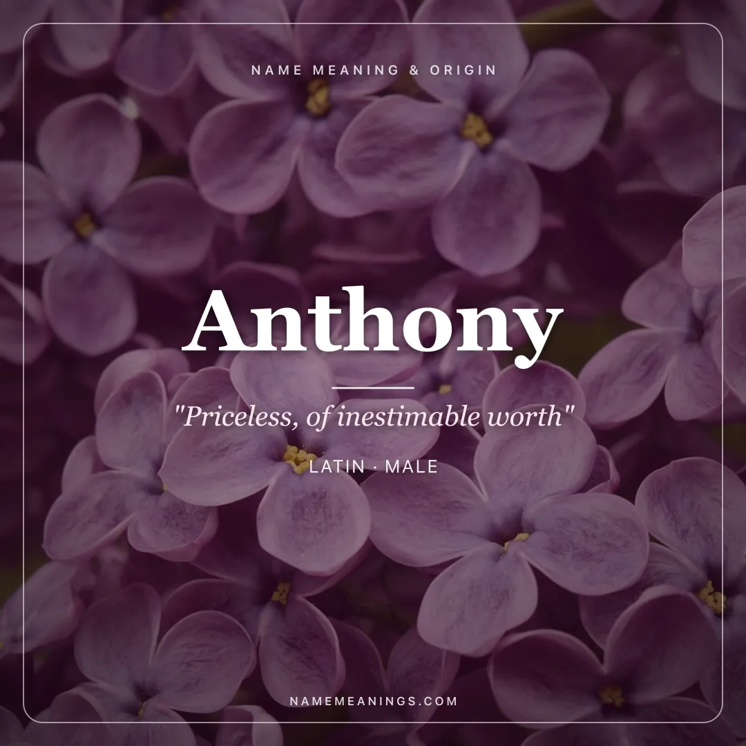 Anthony name meaning "Priceless, of inestimable worth" - Latin, Greek male name share card | NameMeanings