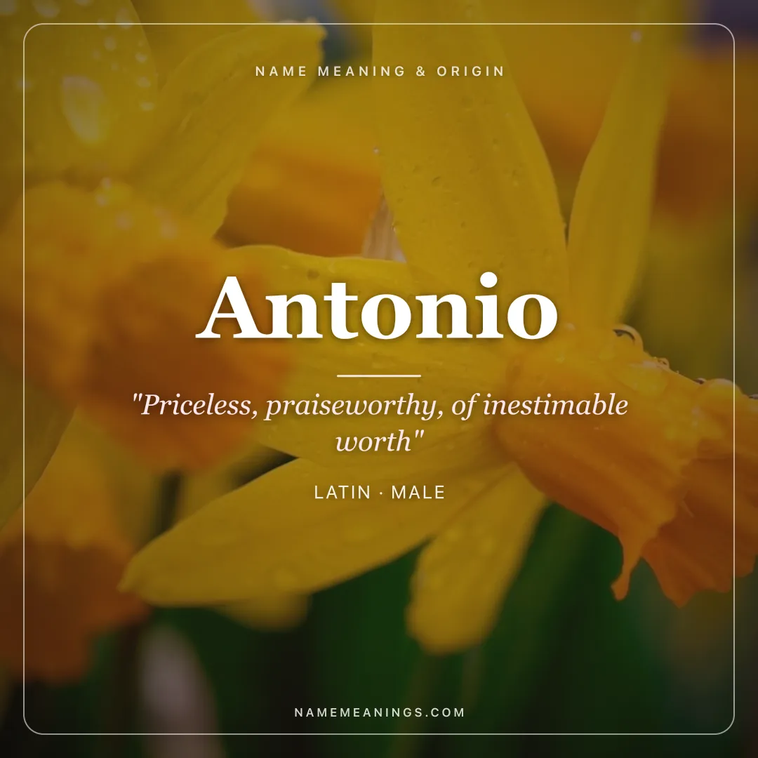 Antonio name meaning "Priceless, praiseworthy, of inestimable worth" - Latin male name share card | NameMeanings