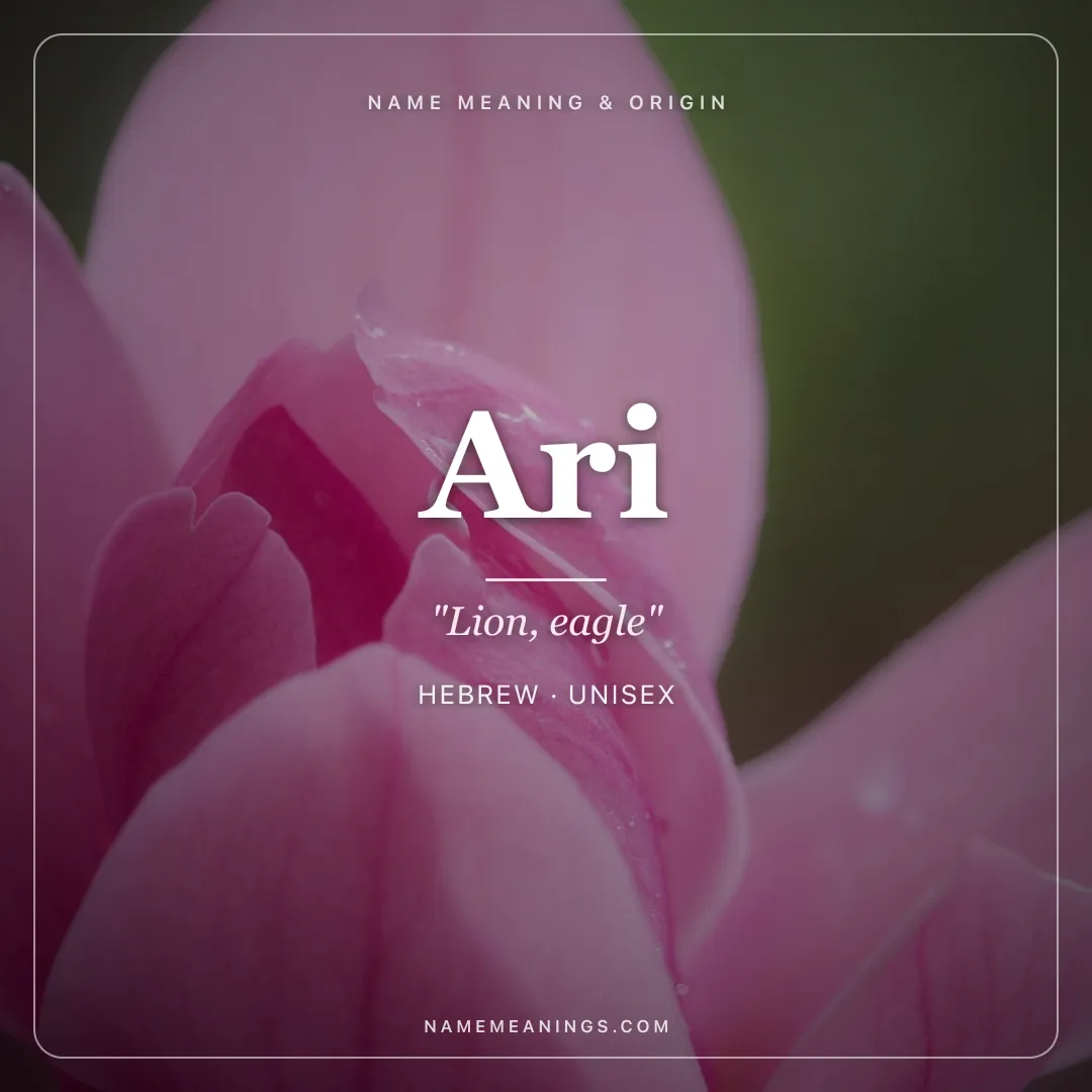 Ari name meaning "Lion, eagle" - Hebrew unisex name share card | NameMeanings
