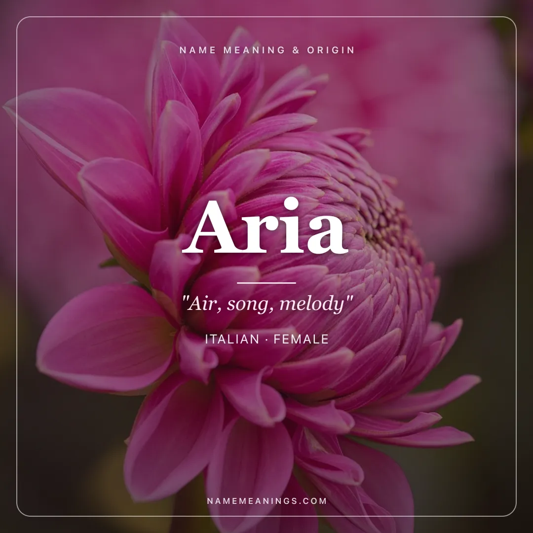 Aria name meaning "Air, song, melody" - Italian female name share card | NameMeanings