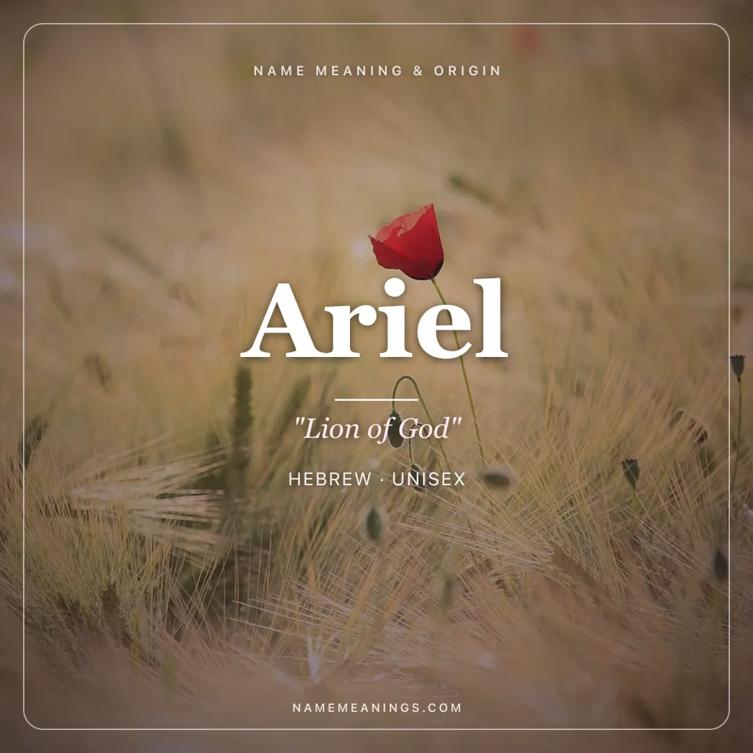 Ariel name meaning "Lion of God" - Hebrew unisex name share card | NameMeanings
