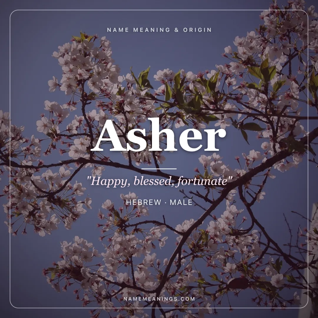 Asher name meaning "Happy, blessed, fortunate" - Hebrew male name share card | NameMeanings