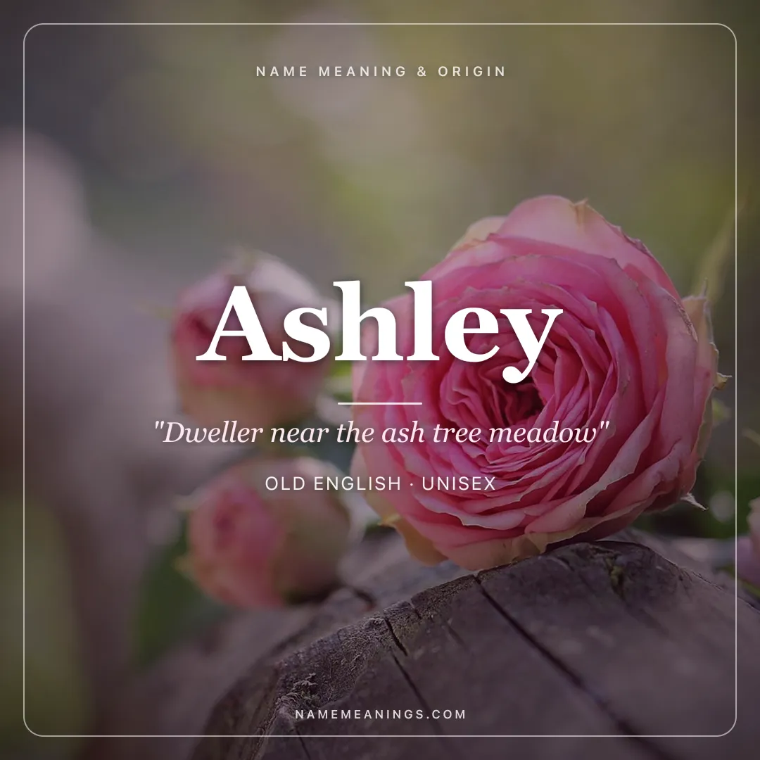 Ashley name meaning "Dweller near the ash tree meadow" - Old English unisex name share card | NameMeanings
