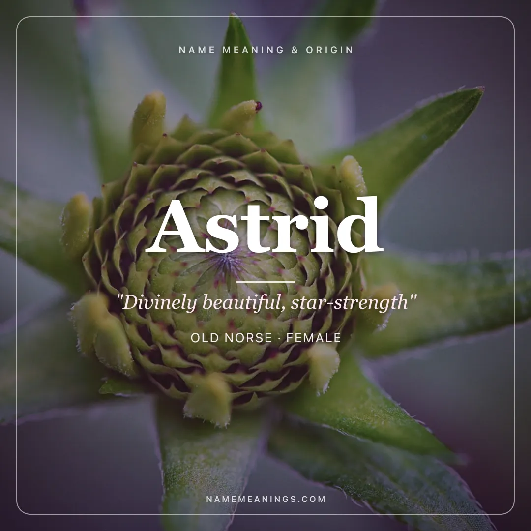 Astrid name meaning "Divinely beautiful, star-strength" - Old Norse female name share card | NameMeanings