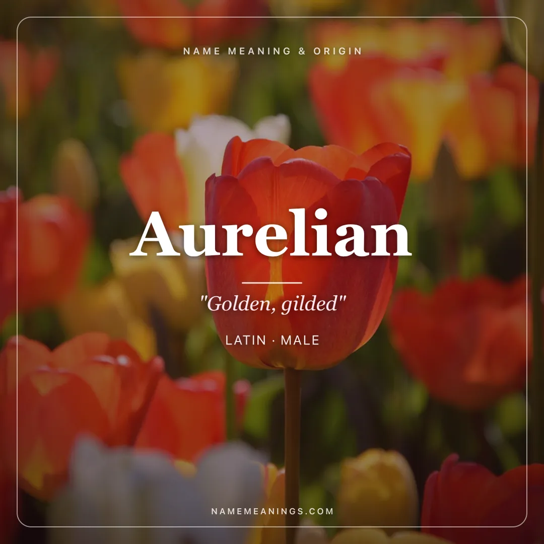 Aurelian name meaning "Golden, gilded" - Latin male name share card | NameMeanings