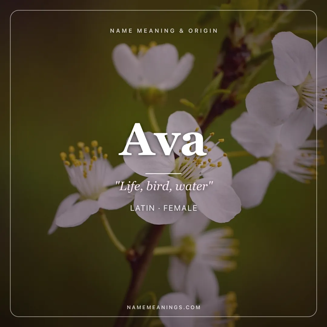 Ava name meaning "Life, bird, water" - Latin, Hebrew, Persian female name share card | NameMeanings