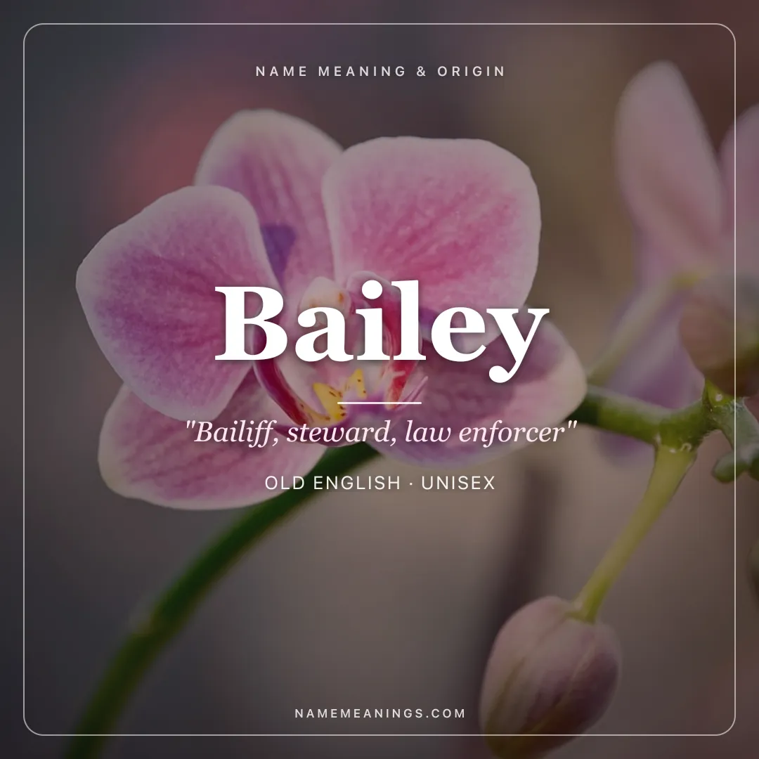 Bailey name meaning "Bailiff, steward, law enforcer" - Old English, Old French unisex name share card | NameMeanings