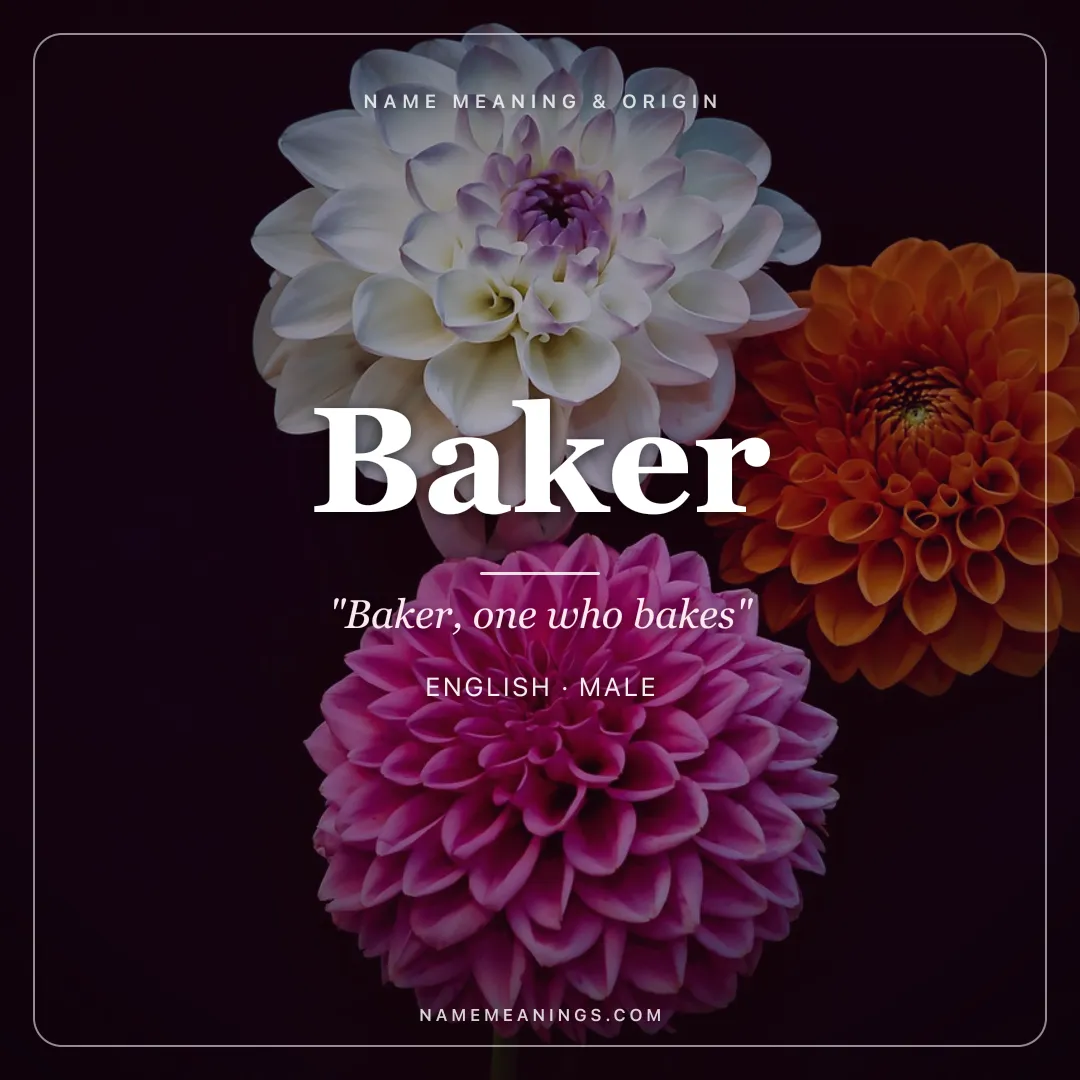 Baker name meaning "Baker, one who bakes" - English male name share card | NameMeanings