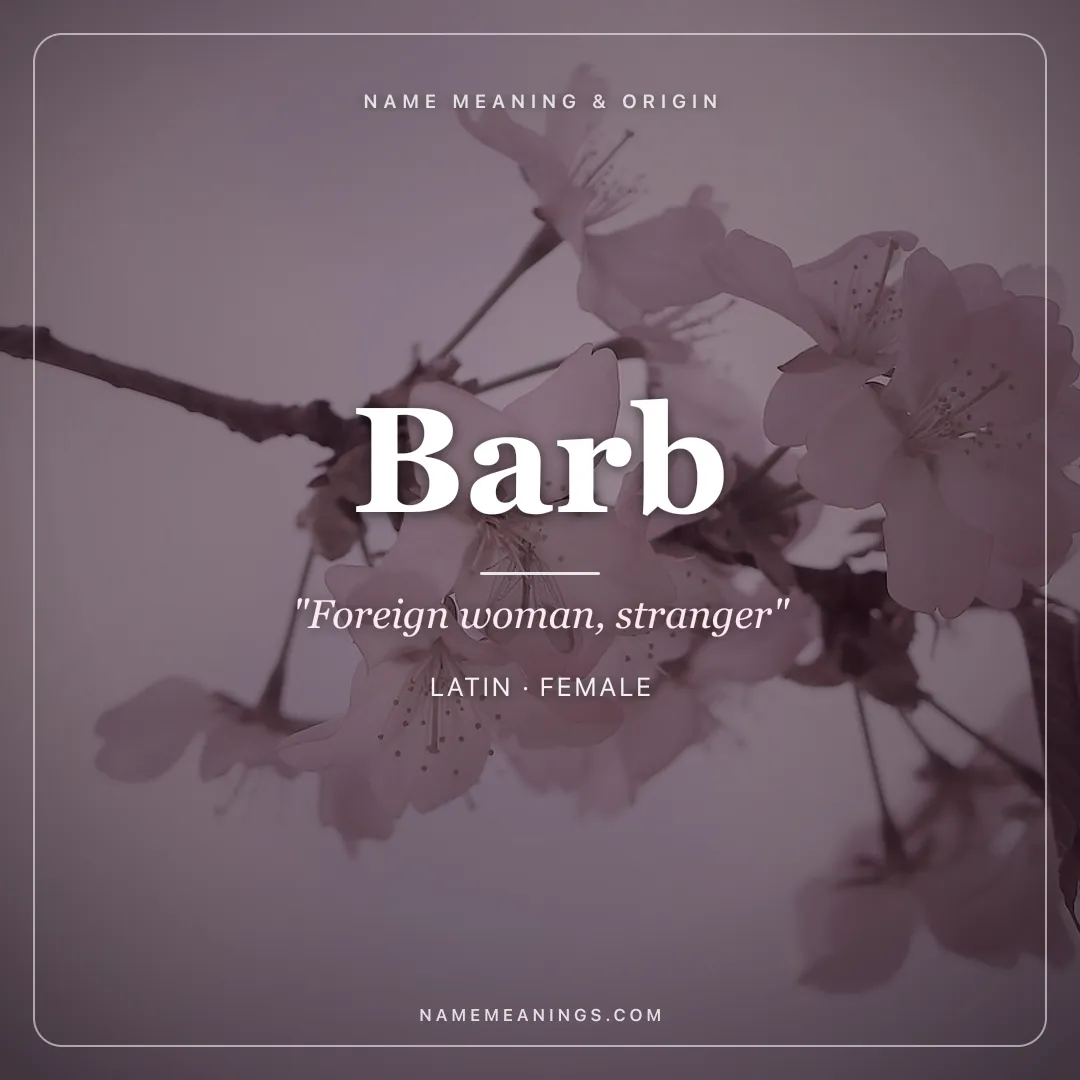 Barb name meaning "Foreign woman, stranger" - Latin female name share card | NameMeanings