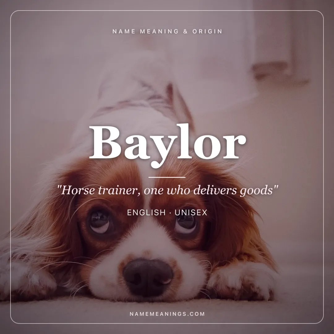 Baylor name meaning "Horse trainer, one who delivers goods" - English unisex name share card | NameMeanings