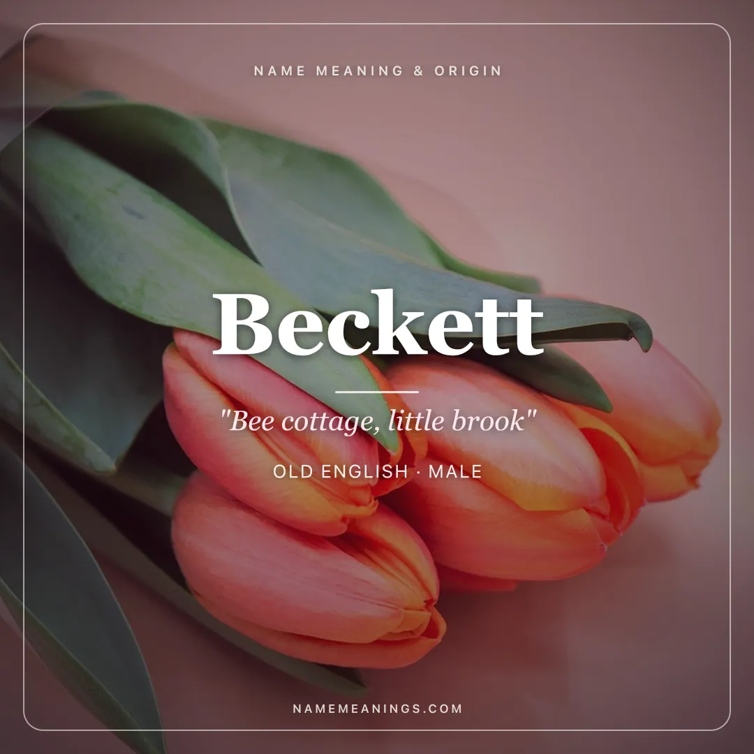 Beckett name meaning "Bee cottage, little brook" - Old English male name share card | NameMeanings