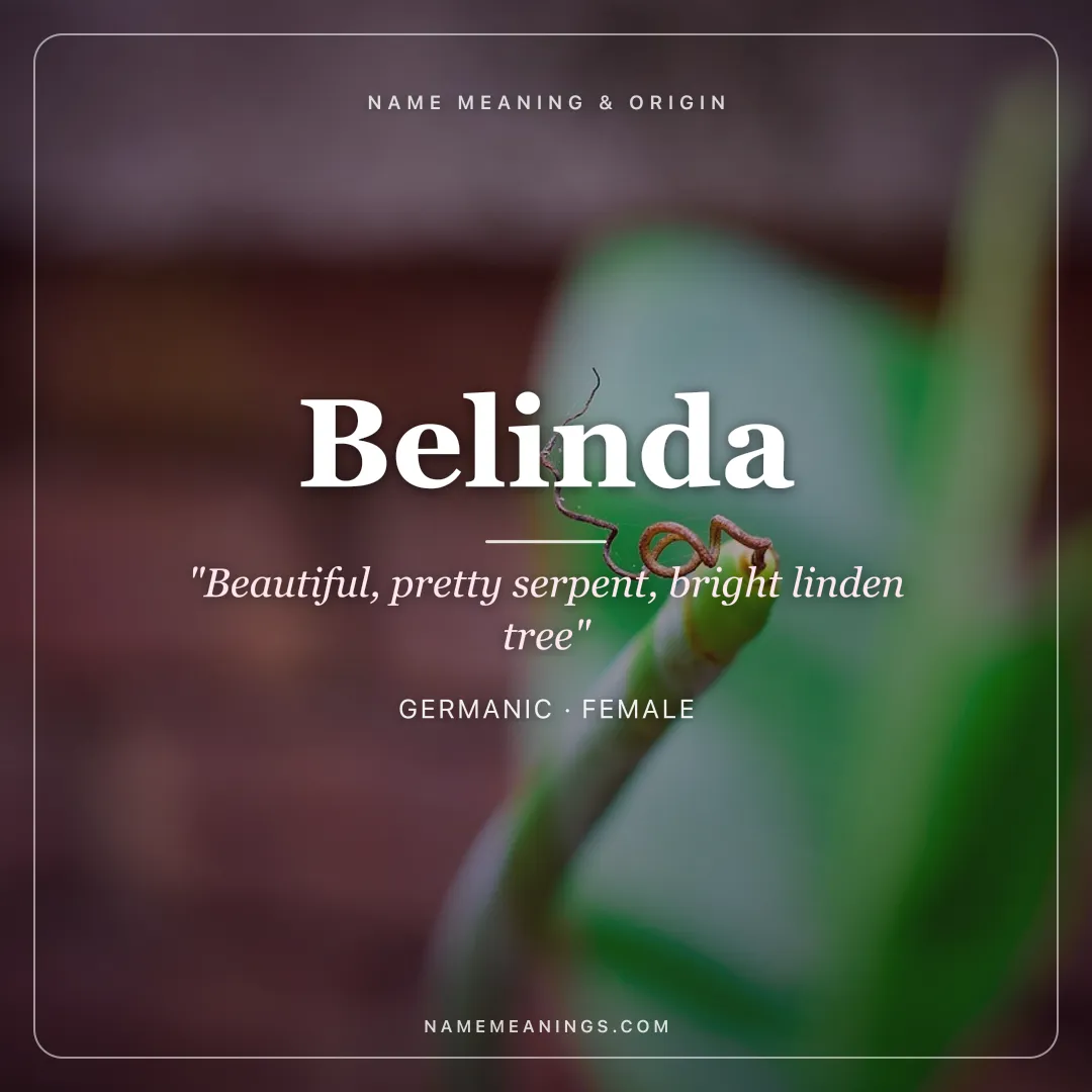 Belinda name meaning "Beautiful, pretty serpent, bright linden tree" - Germanic female name share card | NameMeanings