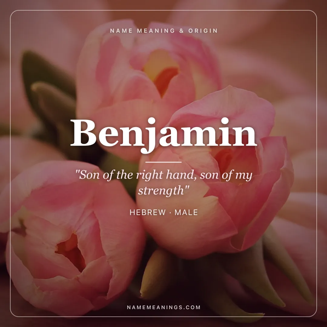Benjamin name meaning "Son of the right hand, son of my strength" - Hebrew male name share card | NameMeanings