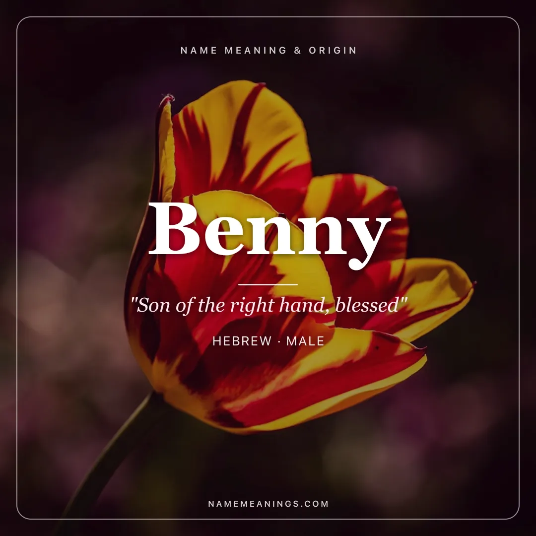 Benny name meaning "Son of the right hand, blessed" - Hebrew male name share card | NameMeanings