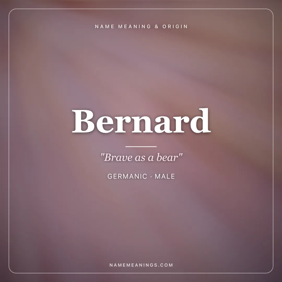 Bernard name meaning "Brave as a bear" - Germanic male name share card | NameMeanings