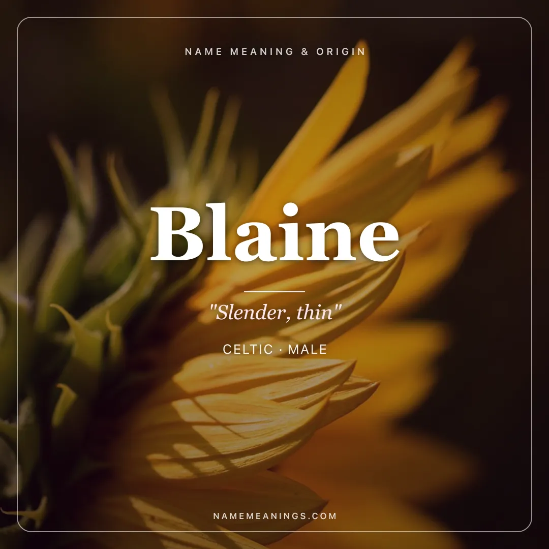 Blaine name meaning "Slender, thin" - Celtic male name share card | NameMeanings
