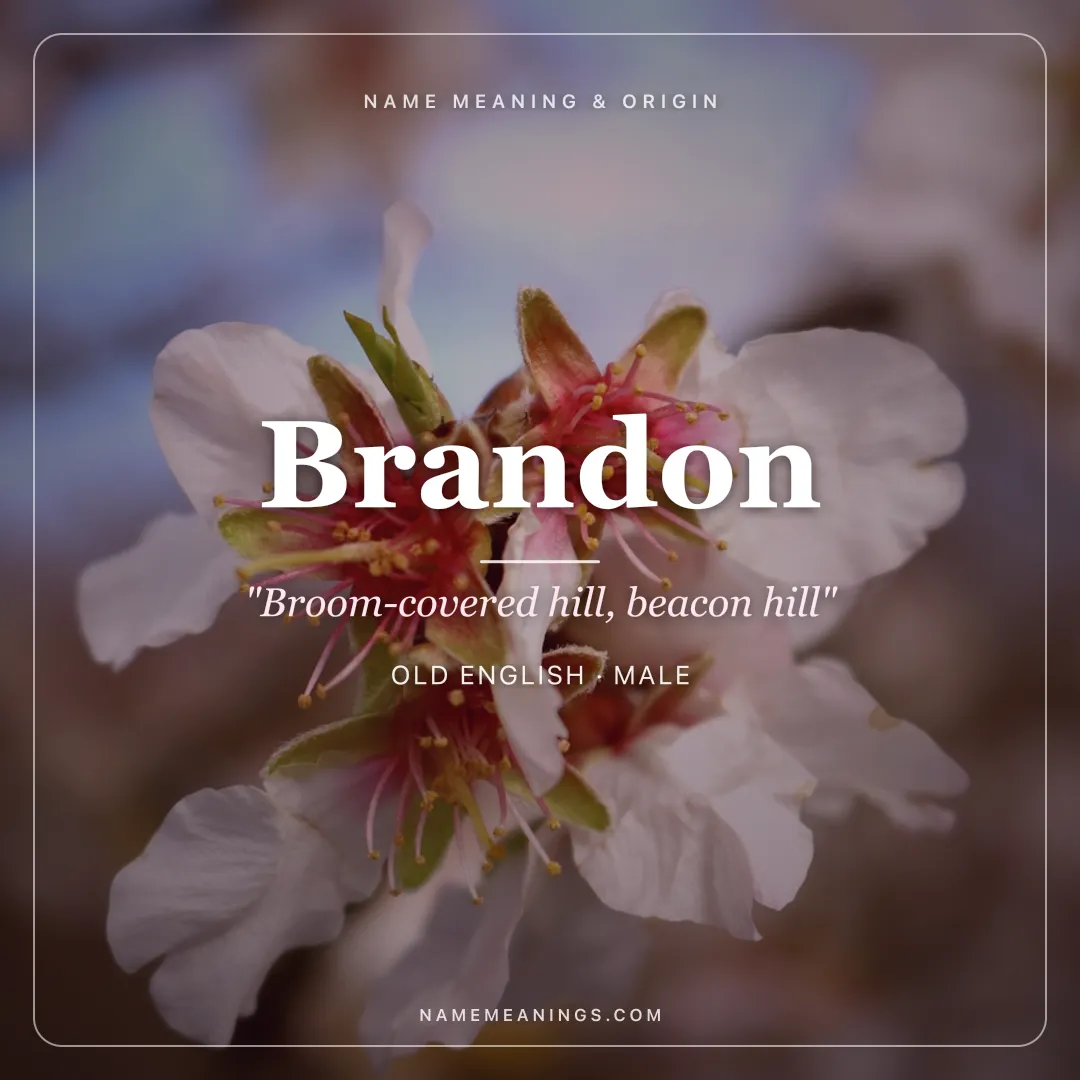 Brandon name meaning "Broom-covered hill, beacon hill" - Old English male name share card | NameMeanings
