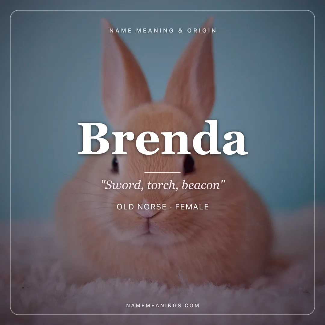 Brenda name meaning "Sword, torch, beacon" - Old Norse, Celtic female name share card | NameMeanings