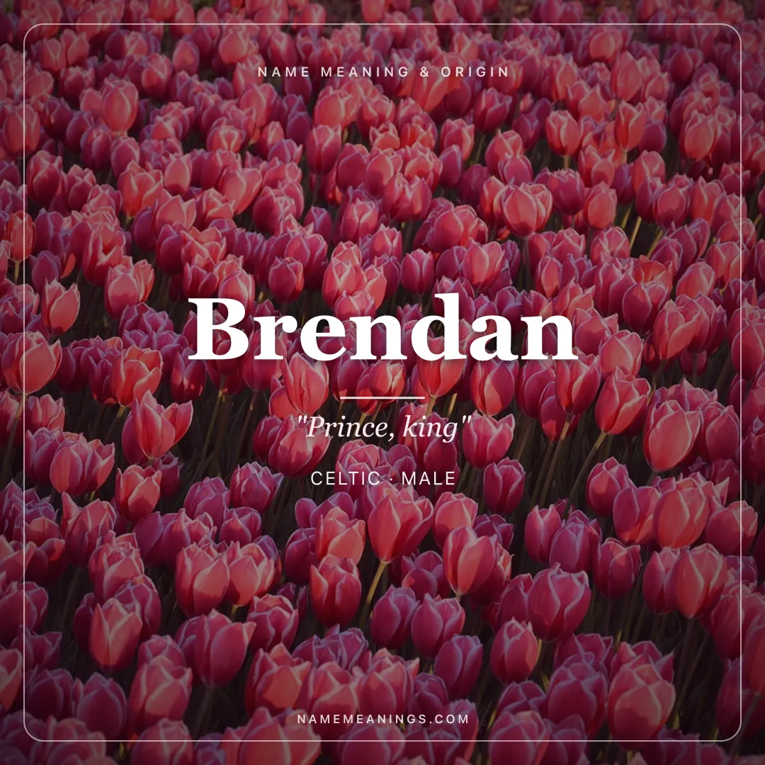 Brendan name meaning "Prince, king" - Celtic male name share card | NameMeanings