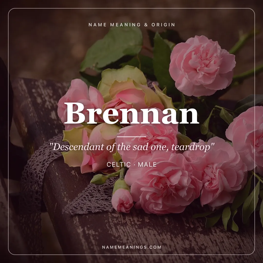 Brennan name meaning "Descendant of the sad one, teardrop" - Celtic male name share card | NameMeanings