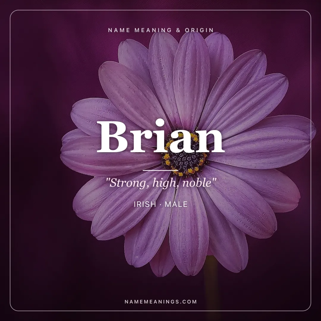 Brian name meaning "Strong, high, noble" - Irish, Celtic male name share card | NameMeanings