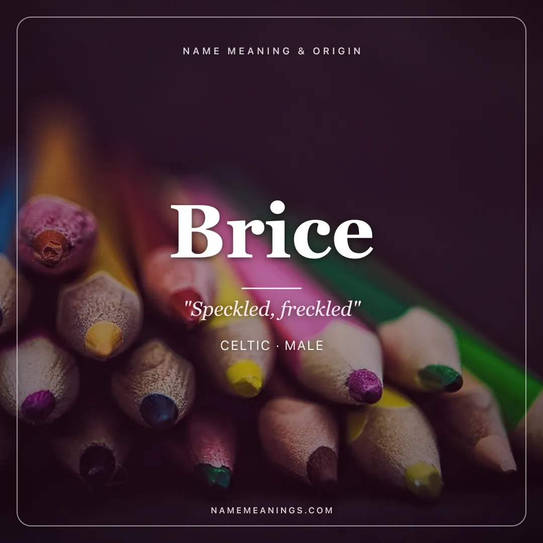 Brice name meaning "Speckled, freckled" - Celtic male name share card | NameMeanings