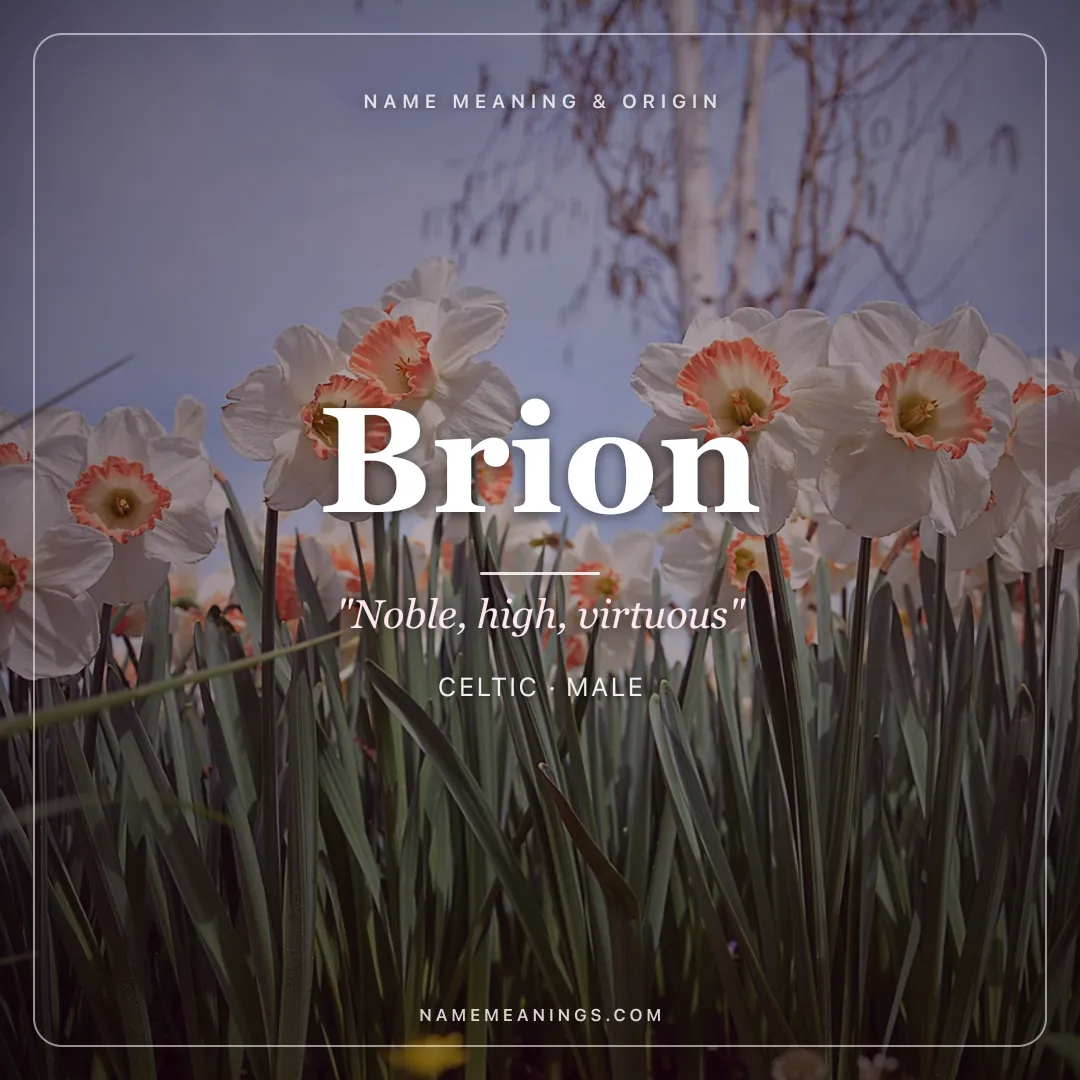 Brion name meaning "Noble, high, virtuous" - Celtic male name share card | NameMeanings
