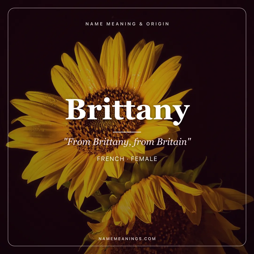 Brittany name meaning "From Brittany, from Britain" - French, Celtic female name share card | NameMeanings