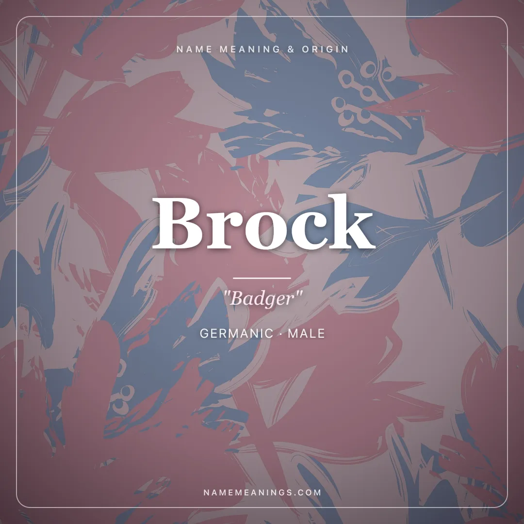 Brock name meaning "Badger" - Germanic male name share card | NameMeanings