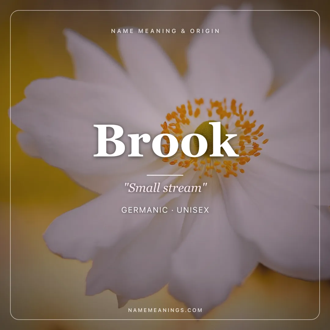 Brook name meaning "Small stream" - Germanic unisex name share card | NameMeanings