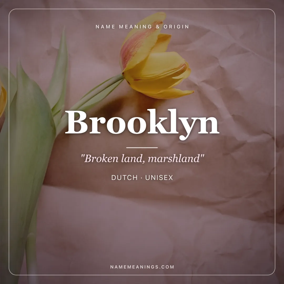 Brooklyn name meaning "Broken land, marshland" - Dutch, English unisex name share card | NameMeanings