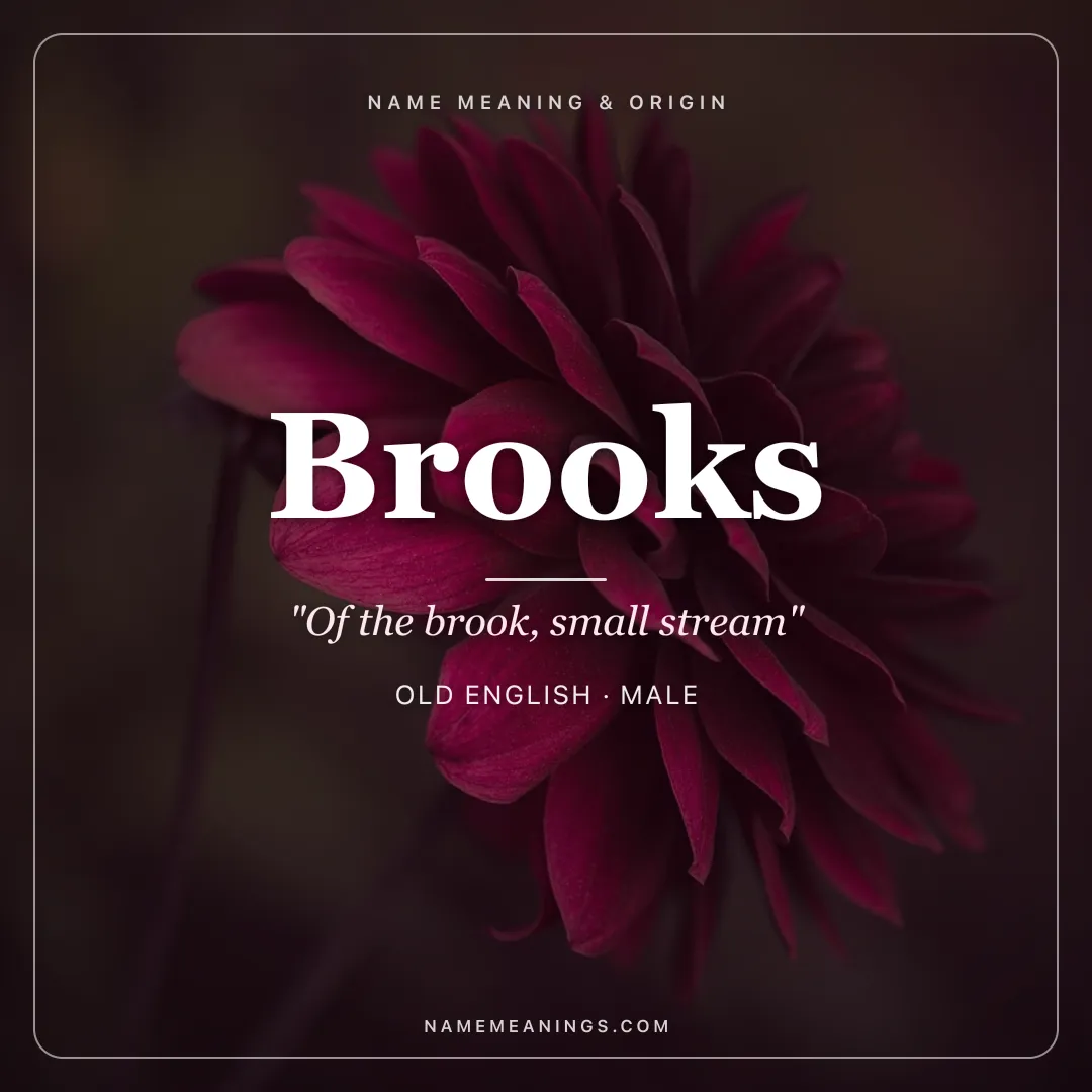 Brooks name meaning "Of the brook, small stream" - Old English male name share card | NameMeanings
