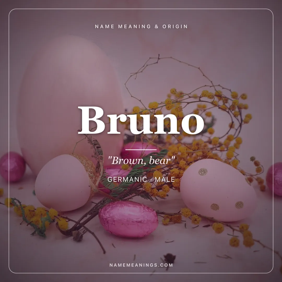 Bruno name meaning "Brown, bear" - Germanic male name share card | NameMeanings